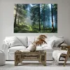 Bild auf Leinwand - Leinwandbild - Einteilig - Wald Produktbild-Vorschau 6