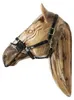 Kentucky Horsewear Anti Fly Nose Net Produktbild-Vorschau 4