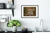 MuchoWow® MuchoWow® Gerahmtes Poster Geparden sitzen Produktbild-Vorschau 4