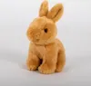 A plush toy rabbit sits on a white background. Produktbild-Vorschau