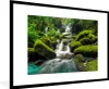 MuchoWow® MuchoWow® Gerahmtes Poster Wasserfall - Tropisch Produktbild-Vorschau 1