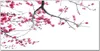 Coloray Küchenrückwand 120x60 Spritzschutz aus Glas - Produktbild-Vorschau 1