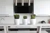 Three potted cacti are displayed on a countertop in a modern kitchen. Produktbild-Vorschau