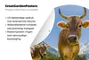 MuchoWow® Gartenposter Outdoor-Poster Rund Kühe - Sonne - Produktbild-Vorschau 4