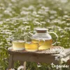 A teapot and two cups of tea are placed on a small wooden stool in a field of daisies. Náhľad obrázku produktu