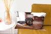 MuchoWow® Zierkissen Sofakissen Wohnzimmer Dekokissen 50x30 Produktbild-Vorschau 6