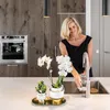 Verts Colibri | Set di 2 piante di Rhipsalis in vasi Anteprima dell’immagine prodotto 4