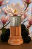 Laura Biagiotti Roma 25ml, Frauen, 25 ml, Nicht Produktbild-Vorschau 6