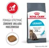 Royal Canin Urinary Care, Adult, jede Rasse, Geflügel, 10 Produktbild-Vorschau 13