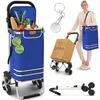 Carrello della spesa ELONEO con vano refrigerato, carrello Anteprima dell’immagine prodotto 1