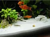 Aquarium Sand Quarzsand Natur weiß 0,5-1 mm, sauber und Produktbild-Vorschau 4
