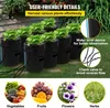 A hydroponic growing system with multiple buckets and plants, set up outdoors on grass, with additional images of vegetables, fruits, flowers, and herbs at the bottom. Anteprima dell’immagine prodotto
