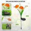 Lampade solari per la decorazione del giardino luci solari Anteprima dell’immagine prodotto 7
