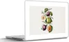 MuchoWow® Laptop Aufkleber Sticker Cover Lebensmittel - Produktbild-Vorschau 1