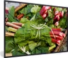 MuchoWow® Gerahmtes Poster Nahaufnahme von Produktbild-Vorschau 1