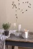 A clear glass vase with a dried plant stem and a small potted rosemary plant on a wooden table. Produktbild-Vorschau