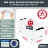 BOXXivo Aufbewahrungsbox 40L mit Deckel  im 2er Set – Produktbild-Vorschau 2