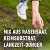 COMPO SAAT Rasen-Reparatur Komplett Mix+ 4 kg Produktbild-Vorschau 3