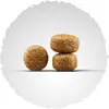 Josera Senior Balance  12,5 kg - Hundetrockenfutter Produktbild-Vorschau 10