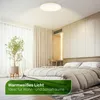 Plafondlamp, energie-efficiëntieklasse A, LED-paneel, Productafbeelding-voorbeeld 4