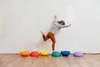 Stapelstein® Rainbow Set complete classic Produktbild-Vorschau 4