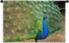 MuchoWow® Wandteppich Wandbehang Pfau - Federn - Produktbild-Vorschau 1
