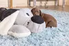 Beeztees Welpen Hundespielzeug Boomba XL 70 x 40 cm grau Produktbild-Vorschau 6