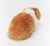 Świnka morska złota/biała 20 cm Podgląd zdjęcia produktu 3