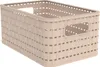 Rotho Aufbewahrungskorb A5 6 Liter Volumen 8873809 Kiste Produktbild-Vorschau 2