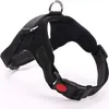 A black dog harness is shown against a white background. Produktbild-Vorschau