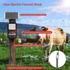Profesionální 12KV elektrický ohradník pro hospodářská Náhled obrázku produktu 10