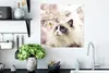 MuchoWow® Poster Sakura - Katze - Farben 50x50 cm - Produktbild-Vorschau 3