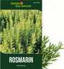 Rosmarin Mehrjährig Samen - Rosmarinus officinalis - Produktbild-Vorschau 1
