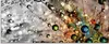 agika7: Farbenfrohe Natur - Glasbild, Größe:50x125 cm / Produktbild-Vorschau 1