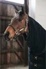 Kentucky Horsewear Abschwitzdecke Towel Rug Schwarz M (bis Produktbild-Vorschau 9