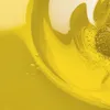 Olej arganowy Melvita (50 ml) Podgląd zdjęcia produktu 11