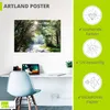 ARTland Poster Sonniger Wald Größe: 70x50 cm Produktbild-Vorschau 3