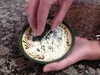 Plateau à râper en céramique Kaladia, peint à la main en Voir les images du produit 10