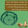 12er Set Pflanzkörbe für Blumenzwiebeln Pflanzschale Produktbild-Vorschau 5
