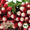 Samenliebe  Radieschen Samen | French Breakfast 2 - mild & Produktbild-Vorschau 4