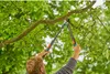 GARDENA Coupe-branches TeleCut Pro S 12040-20 Voir les images du produit 10