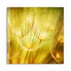 DEQORI Glasbild Echtglas 50x50 cm 'Goldener Hauch' Wandbild Produktbild-Vorschau 2