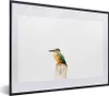 MuchoWow® MuchoWow® Gerahmtes Poster Eisvogel - Federn - Produktbild-Vorschau 1