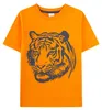 Sanetta Jungen Schlafanzug, kurz - Kids, Tiger, Pyjama, Produktbild-Vorschau 3