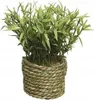Plante artificielle dans pot tressé 13cm, 1 pièce assortie Voir les images du produit 6