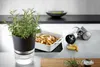 GEFU BOTANICO, Kräutertopf, Freistehend, Kunststoff, Produktbild-Vorschau 3