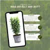 Plants by Frank | Grüne Spindelstrauch Hecke | Euonymus Produktbild-Vorschau 5