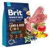A collage of a dog food bag and ingredients like lamb, rice, fruits, and herbs. Podgląd zdjęcia produktu