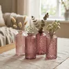 Boltze 2031373, Vase mit runder Form, Glas, Rose, Glänzend, Produktbild-Vorschau 11