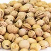 Noccioli di ciliegia Imbottiture per cuscini naturali Anteprima dell’immagine prodotto 3